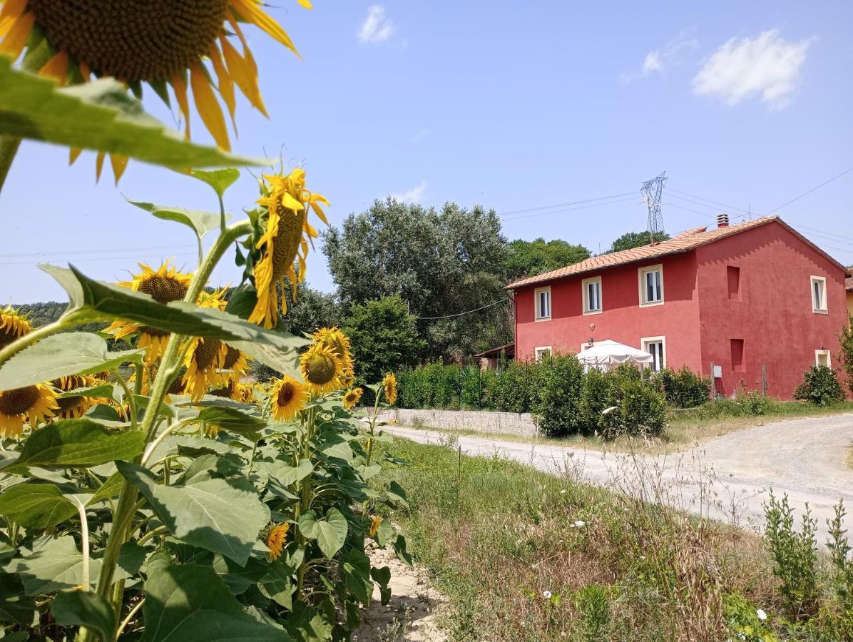 Bed and Breakfast La Casa Rossa Coiano Экстерьер фото